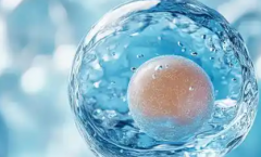 2026浙江宁波市辅助生殖机构TOP10排名，10家私立医院凭什么上榜？