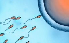 2026年单身去徐医附院做一次三代试管要花多少钱？费用详细介绍