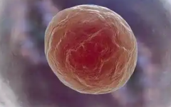 2026年江苏扬州第三代试管婴儿费用清单，各项花销全知道