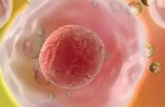 海外三代试管婴儿助孕费用大致需要多少钱