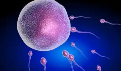 2026年无结婚证可不可以在阜阳市人民医院做试管婴儿？流程及费用全知