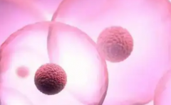 江苏省盐城做试管助孕生孩子全程下来大概要花多少钱？