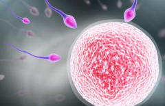 上海三代试管助孕机构费用明细全曝光，在国内属于什么水平？