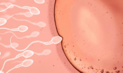 广西省南宁第三代试管婴儿助孕费用完整介绍，2026年各项花费明细汇总