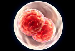 没有结婚证能在昆明市第一人民医院做试管吗？最新试管费用及成功率