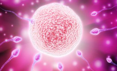 2026年辽宁沈阳市第三代试管婴儿价格曝光：10-18万，附具体费用明细