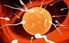 泰国三代试管婴儿价格在8-12万元上下，附费用明细+省费用攻略