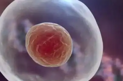 安徽十大试管医院排名，2026安徽做试管婴儿哪家私立医院比较好