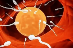 深圳三代试管价格一览表：单次助孕成本不低，通常超过10万元