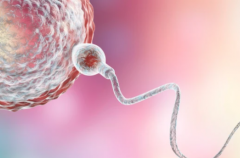 辽宁沈阳三代试管助孕医院费用，2026最新标准出炉