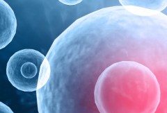 2026年泰国做三代试管婴儿助孕大约需要多少费用？费用明细清单出炉