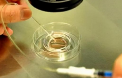 2026年深圳市第三代试管费用大致多少？全流程花费明细发布