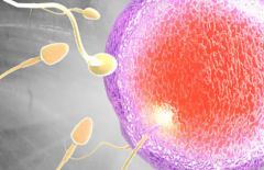 2026年未婚想做试管婴儿怎么办？湘西宁儿妇产医院可以操作吗？