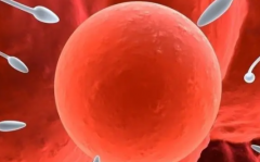 2026年郑州市第三代试管婴儿花销大揭秘，完整价格表发布