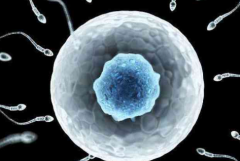 柳州单身女性在柳州市人民医院做试管婴儿成功率有多高？