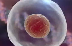 2026年广州市三代试管婴儿花费多少？广州费用明细表首次公开