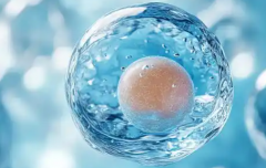 2026年湖南三代试管助孕费用详细公开，每个阶段支出明细