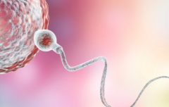 2026云南昆明三代试管婴儿收费价格一览，费用明细表权威发布