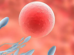 2026年在河南郑州做第三代试管婴儿大概要花多少钱？费用明细一览表发