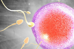 吉林省长春三代试管助孕费用明细，详细价格清单供你了解