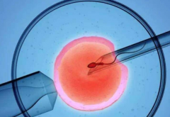 2026青海省第三代试管婴儿助孕价格大公开，附详细费用清单