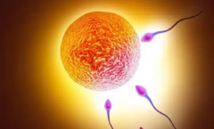 北京市试管婴儿多少钱？2026年北京试管助孕费用明细全面揭晓