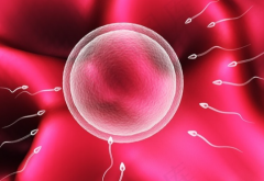 武汉做第三代试管婴儿要花多少钱？附详细费用清单及成功率