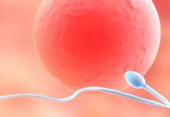 甘肃兰州第三代试管婴儿各项目收费明细发布