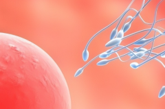 镇江能做试管婴儿的私立机构有哪些？最新医院名单