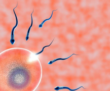 2026年江苏连云港做三代试管婴儿成本高吗，费用与成功率全面分享