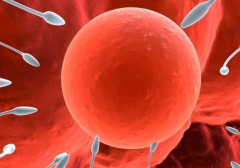 2026年在吉林长春做三代试管助孕整体费用大概多少