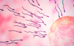 铜陵市妇幼保健院单身女性试管婴儿成功率有多高？