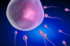 2026江西省三代试管助孕收费价格：单周期6万起，完整流程费用明细更新