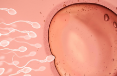 2026年中山人民医院未婚试管婴儿费用清单公布