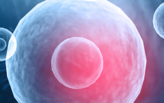 2026年在福州做试管助孕全程费用大概多少？详细费用清单曝光