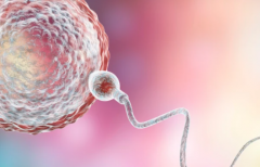 2026年广东省单身去惠州市第二妇幼保健院做试管成功率高吗？怀上几率