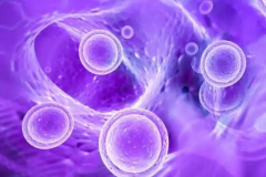 没领结婚证在联勤保障部队第962医院能做三代试管助孕吗？