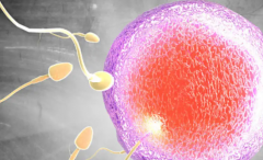 国外三代试管助孕需要多少钱？附2026年试管移植完整费用账单