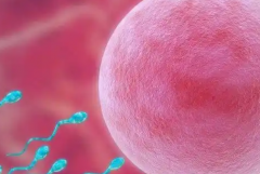 江苏做第三代试管婴儿要花多少钱？来看看详细费用清单表