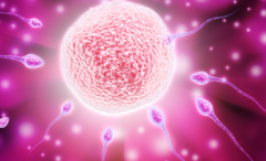 河南科技大学第一附属医院单身试管成功率数据揭秘：真实案例分享