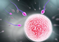 了解长沙试管助孕真实费用：2026长沙市试管婴儿助孕费用明细详细曝光