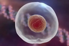 2026年单身去石河子大学第一附属医院做试管婴儿全部费用大概多少？