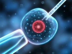 2026年在安徽省合肥市做试管助孕全程费用大概多少？详细费用清单曝光