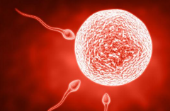 长春市第三代试管婴儿费用2026：大约8万至15万，附各项收费标准