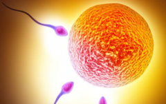 2026年单身女性在南医大二附院能做试管婴儿吗？