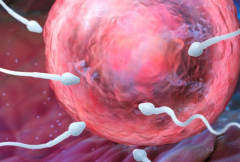 承德市三代试管婴儿费用大概多少？详细费用明细一览