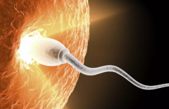 2026年南昌大学第二附属医院未婚单身试管助孕价格表一览