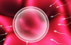 国外第三代试管助孕多少钱一览表，附详细费用明细供你参考