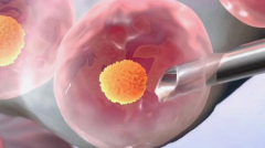 陕西第三代试管助孕生小孩的费用是多少？一般需要10万到15万