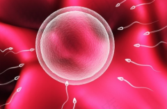 2026年未婚人士在岳阳市妇幼保健院做试管婴儿价格贵不贵？十万能做吗